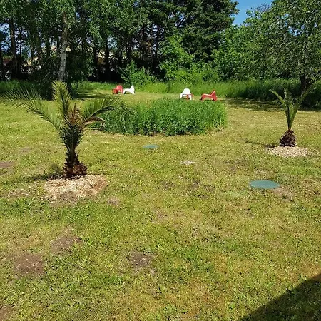 02 - Tres Joli 2 Pieces Avec 3 Lits Pouvant Accueillir Jusqu'A 5 Personnes, Situe Au Rdc Avec Entree Independante, Une Place De Parking Reservee Devant L'Entree Et Terrasse Sur L'Arriere Donnant Sur Parc Arbore, Tout Le Linge De Maison Est Fourni Razac-sur-l'Isle Exterior photo