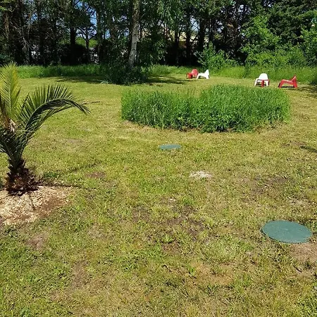 02 - Tres Joli 2 Pieces Avec 3 Lits Pouvant Accueillir Jusqu'A 5 Personnes, Situe Au Rdc Avec Entree Independante, Une Place De Parking Reservee Devant L'Entree Et Terrasse Sur L'Arriere Donnant Sur Parc Arbore, Tout Le Linge De Maison Est Fourni Razac-sur-l'Isle Exterior photo